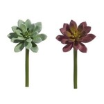 Succulent Pick, 7 in.