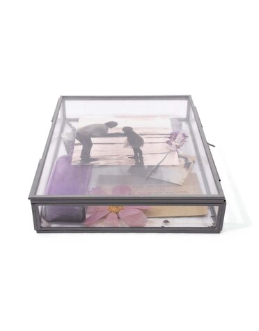 Rectangle Glass and Zinc Memory Box