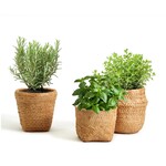 Assorted Basket Pattern Planter, priced individually
