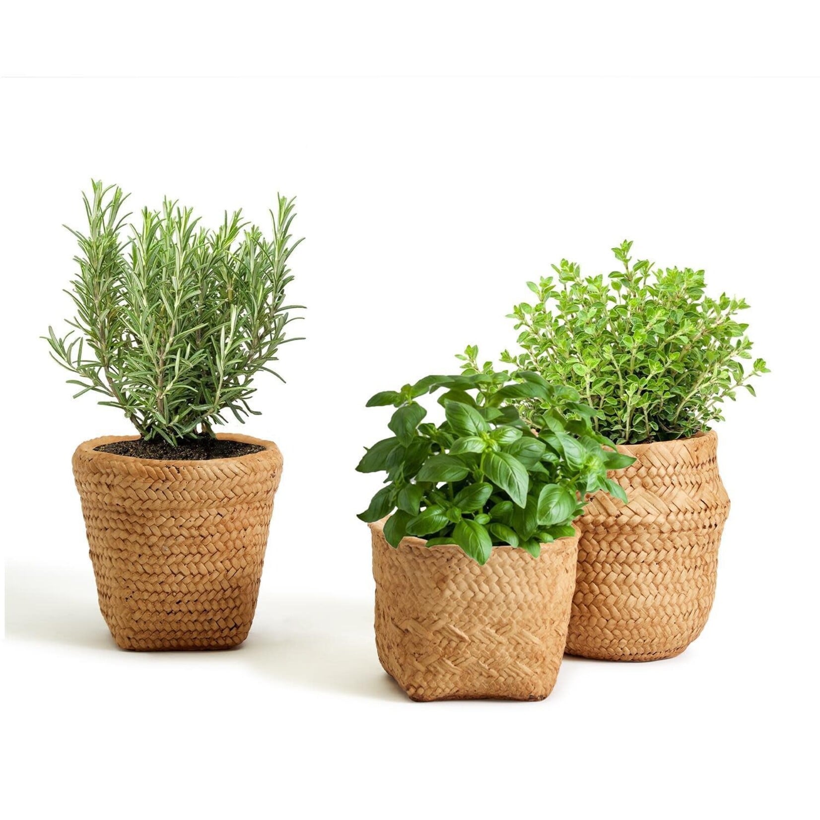 Assorted Basket Pattern Planter, priced individually