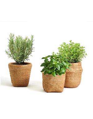 Assorted Basket Pattern Planter, priced individually