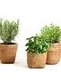 Assorted Basket Pattern Planter, priced individually