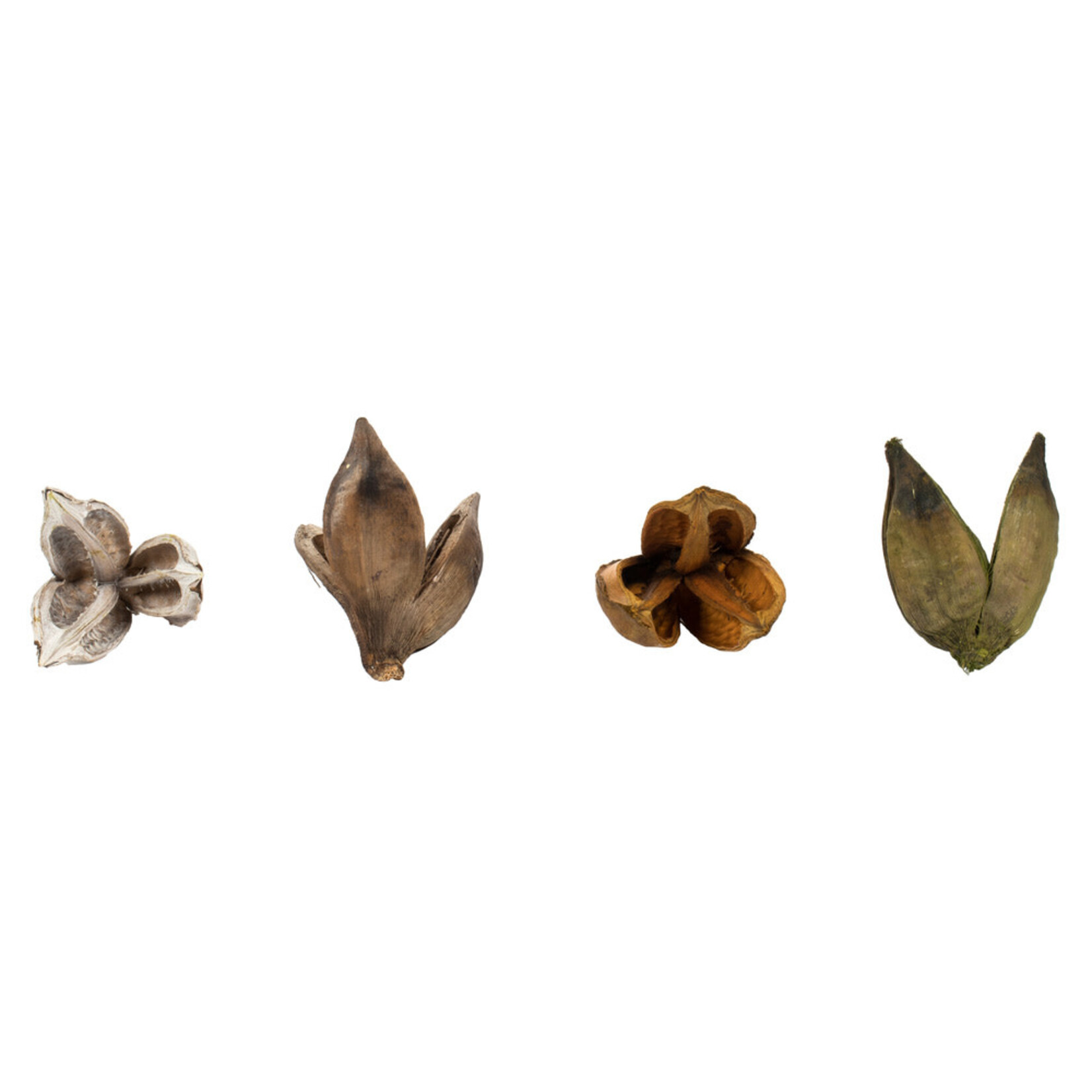 Assorted Sora Pods, each