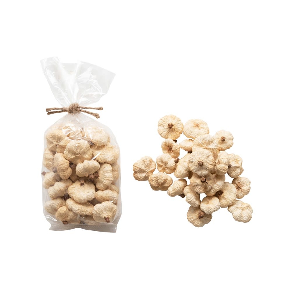 Dried Natural Pods in Bag, Cream