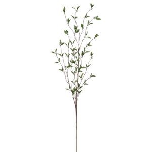 Foliage Branch