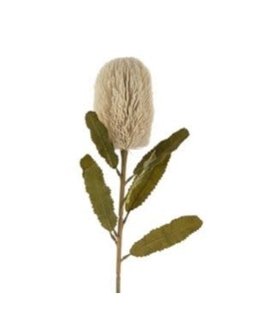 Banksia Floral Stem, Cream