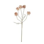 Botanica #2375