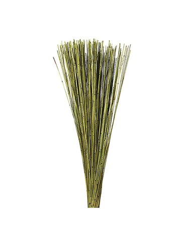 Basil Marsh Reed Bundle, 30 in.