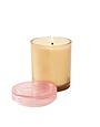 Mer-Sea Coconut Sugar Joli Jar Candle,