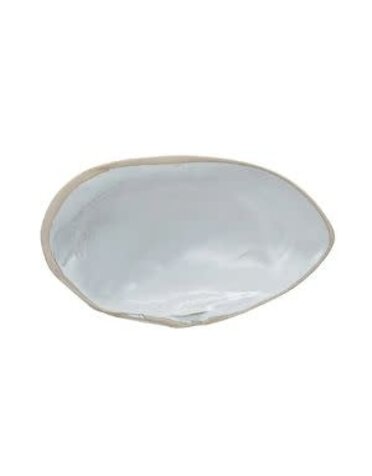 Stoneware Shell Shaped Dish, Reactive Glaze, White