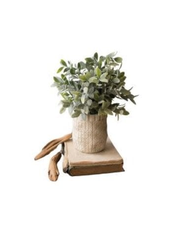 Artificial Sage with Criss Cross White Pot