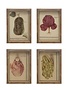 Vintage Vegetable Wall Art, Assorted Styles, priced individually
