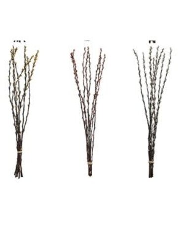 Dried Natural Pussy Willow Bunch, Assorted Colors, priced individually