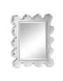 Sea Coral Mirror, 27 X 34, Mirror Available for Local Delivery or Pick Up