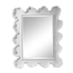 Sea Coral Mirror, 27 X 34, Mirror Available for Local Delivery or Pick Up