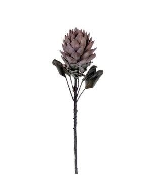 Dried Protea Stem, 30.5 in., Set of 2