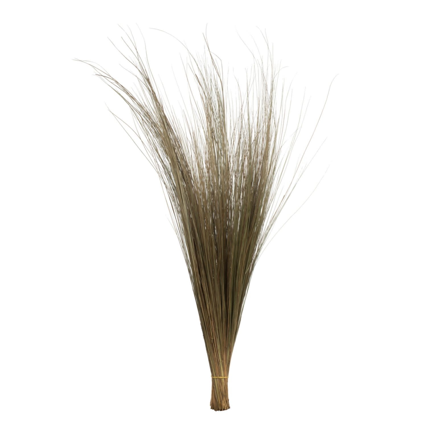 35-40" Natural Bright Grass 8oz