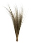 35-40" Natural Bright Grass 8oz