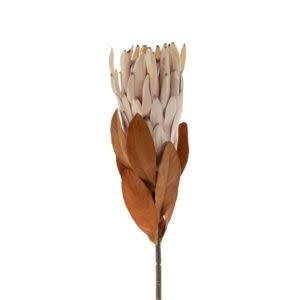 King Protea Floral Stem