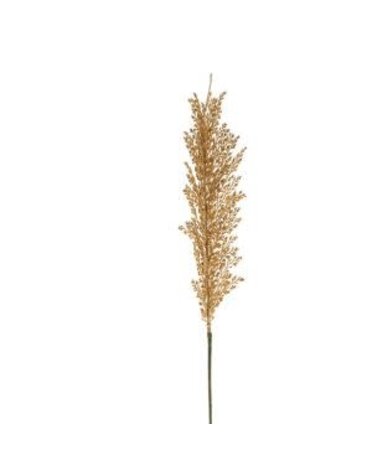 Wheat Stem