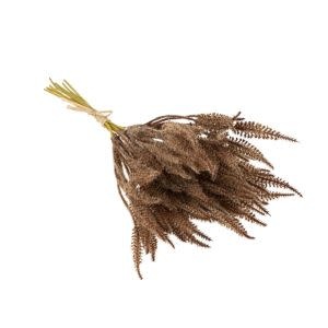 Mini Pampas Grass Bundle, Brown