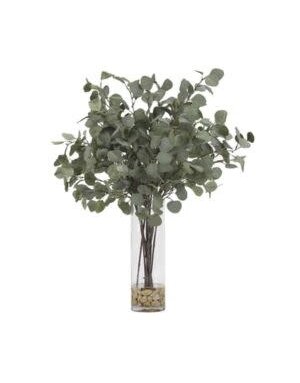 Silver Dollar Eucalyptus in Glass Cylinder, 30 X 37