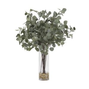 Silver Dollar Eucalyptus in Glass Cylinder, 30 X 37