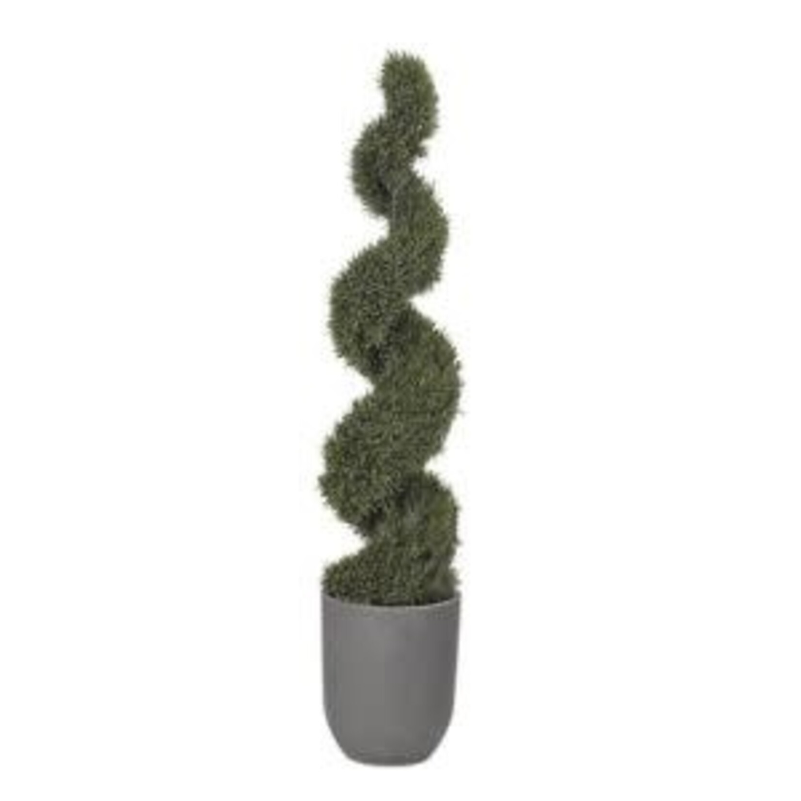 6' Spiral Rosemary Topiary in Round Grey Planter