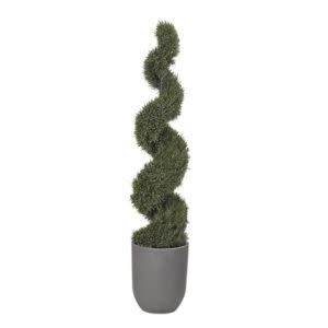 6' Spiral Rosemary Topiary in Round Grey Planter