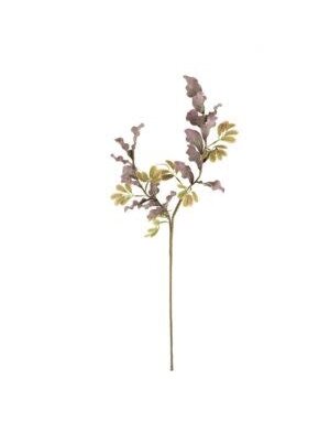 Botanica #3505