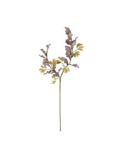 Botanica #3505