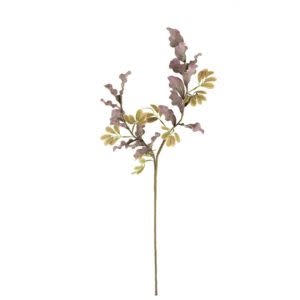 Botanica #3505