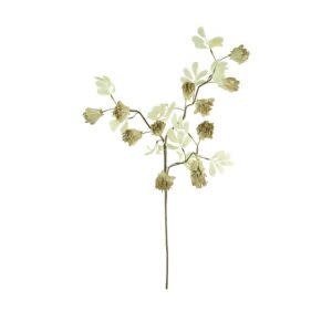 Botanica #3510