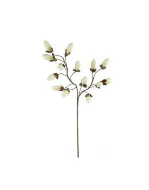 Botanica #2716