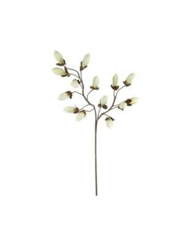 Botanica #2716