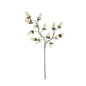 Botanica #2716