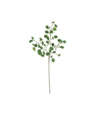 Botanica #3508