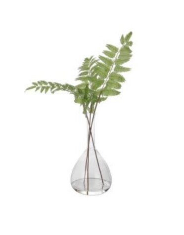 Country Fern, Large, 21 in.