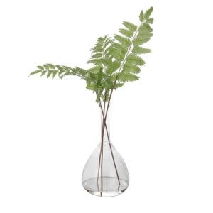 Country Fern, Large, 21 in.