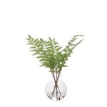 Country Fern, Small, 17 in.