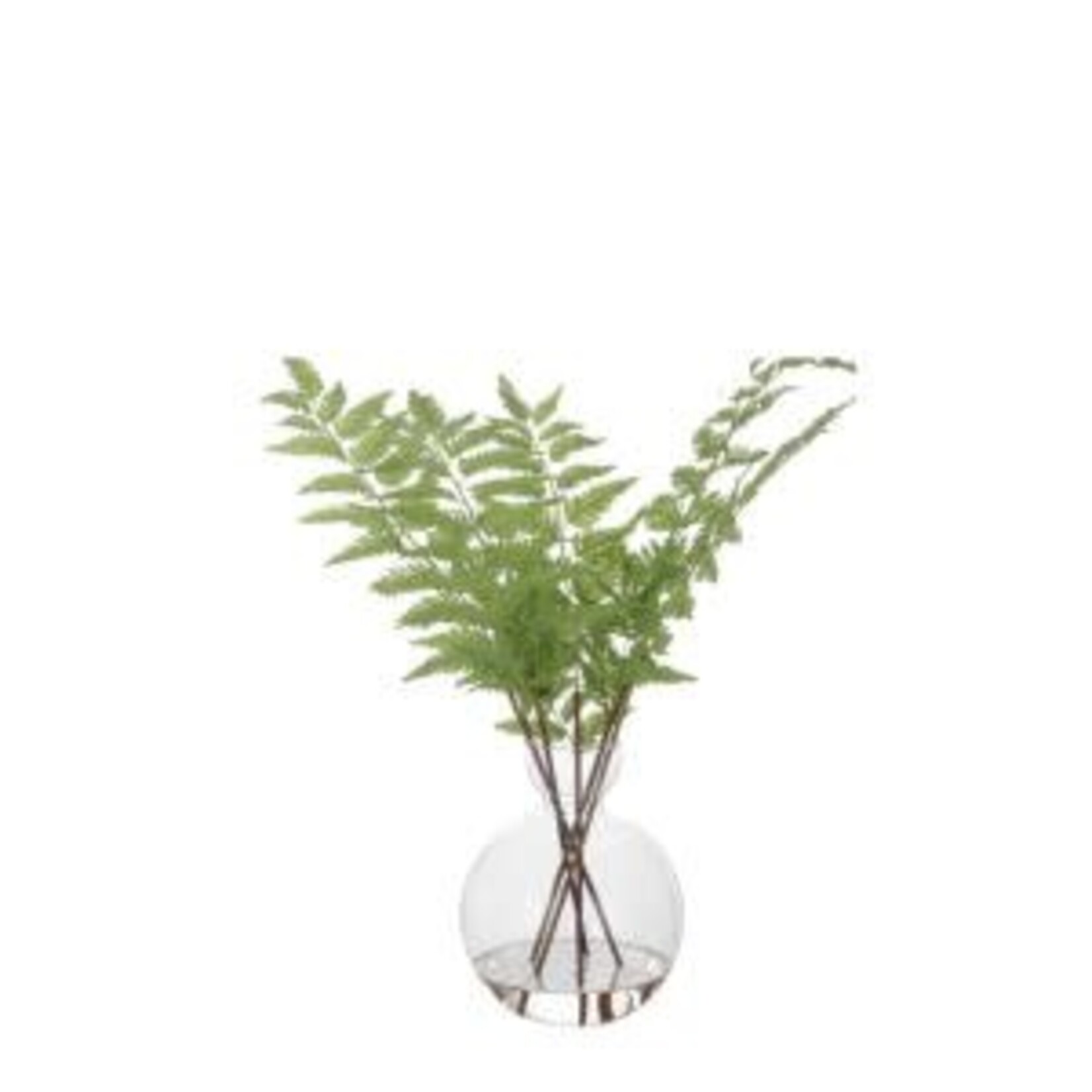 Country Fern, Small, 17 in.