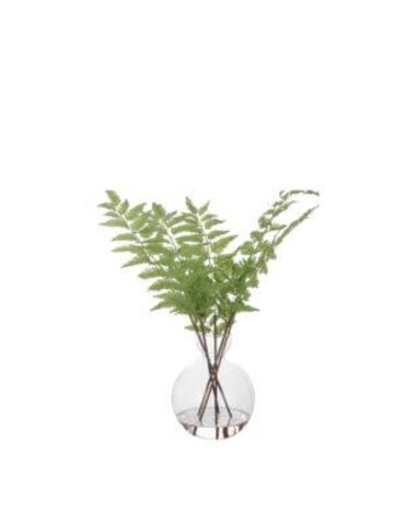 Country Fern, Small, 17 in.