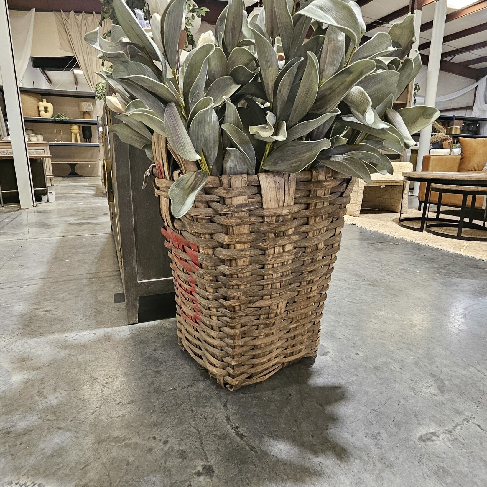 Grape Vineyard Basket