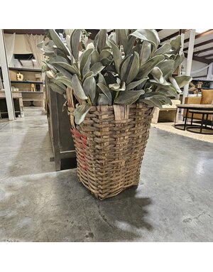 Grape Vineyard Basket