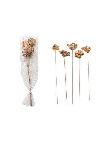 Dried Natural Mushroom Bunch, 23"