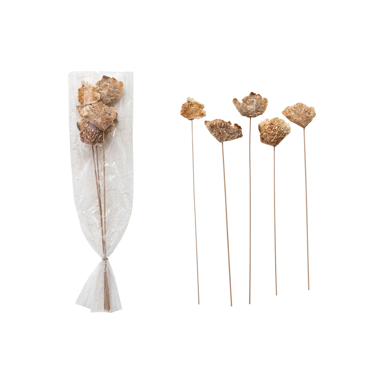 Dried Natural Mushroom Bunch, 23"