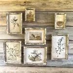 Old Olive Farm Prints - Large