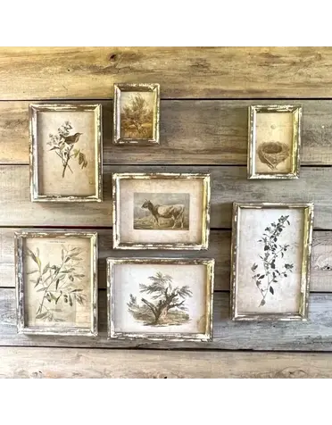 Old Olive Farm Prints - Large