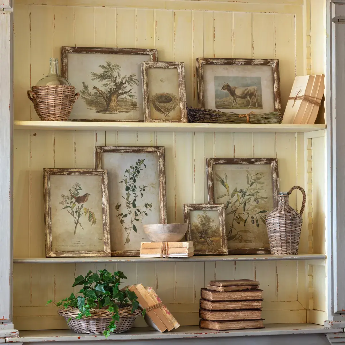 Old Olive Farm Prints - Large