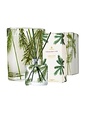 Thymes Pine Needle Design Reed Diffuser, Petite, 4.0 oz. Frasier Fir